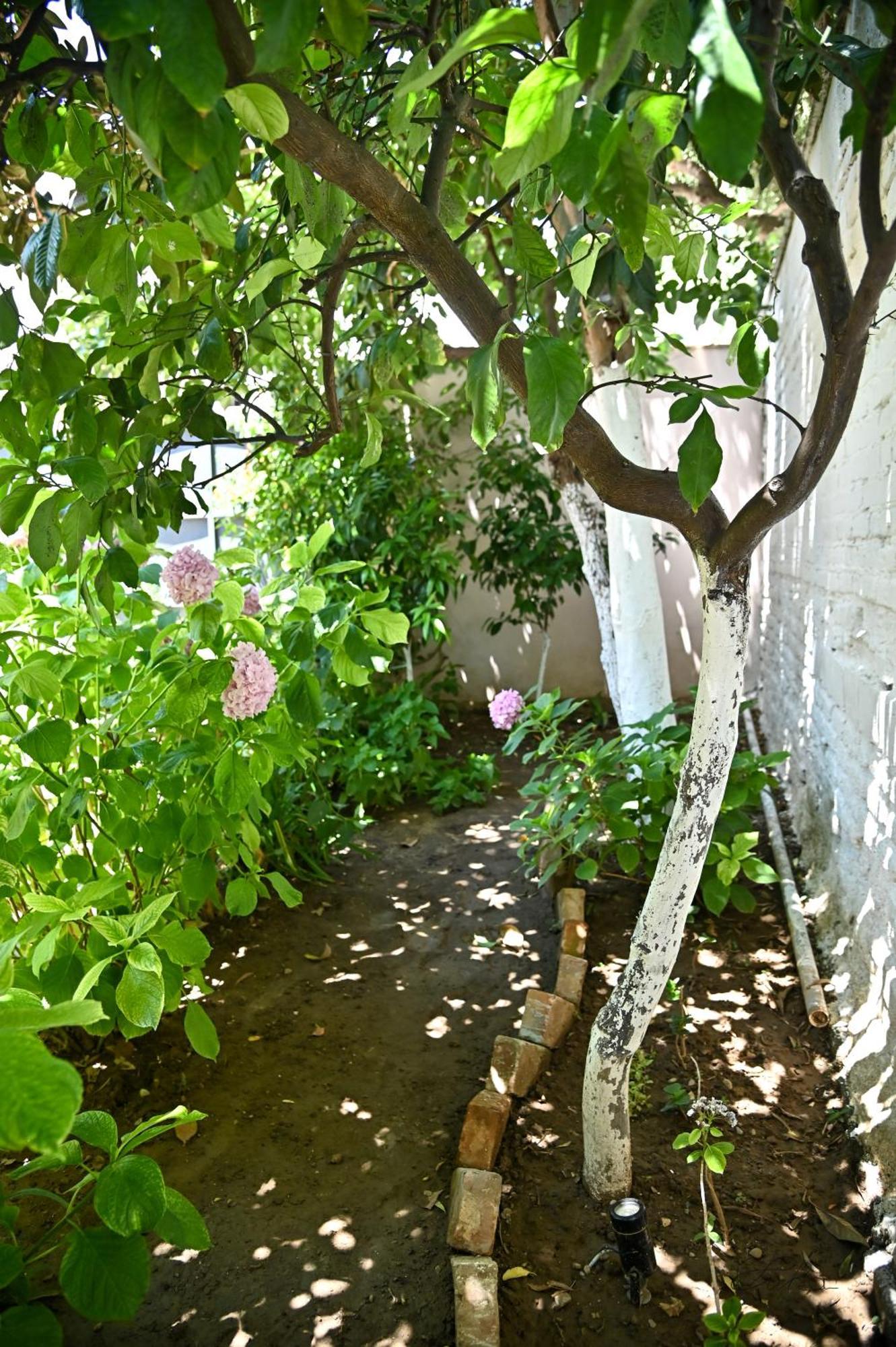 Dom wakacyjny Sen Garden *